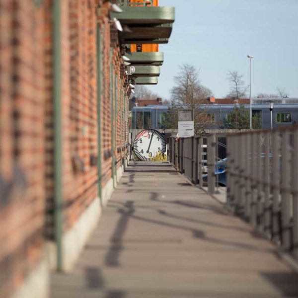 Benno und ich sind uns einig: Zeit ist alles